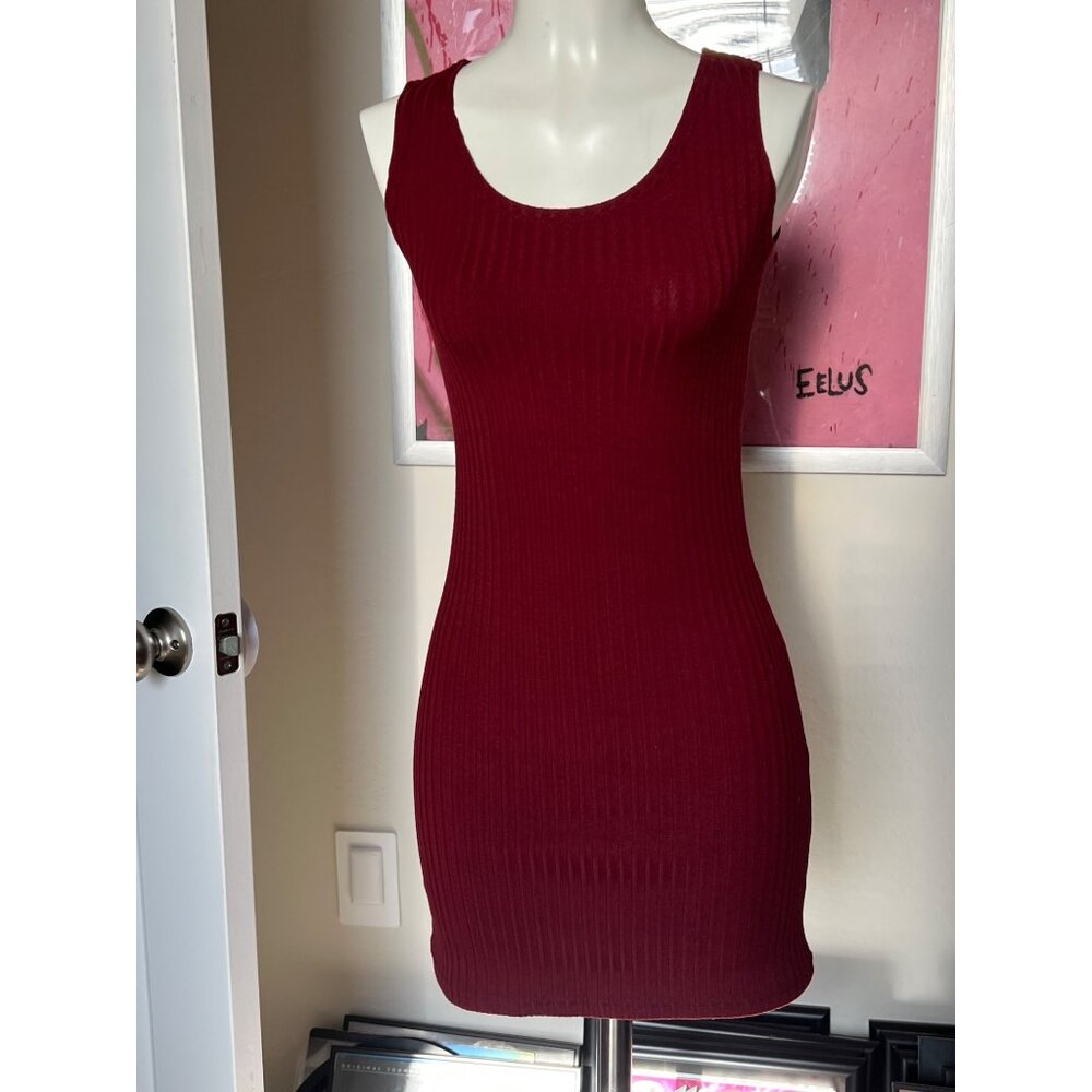 Brandy Melville Burgundy Fitted Dress D998
